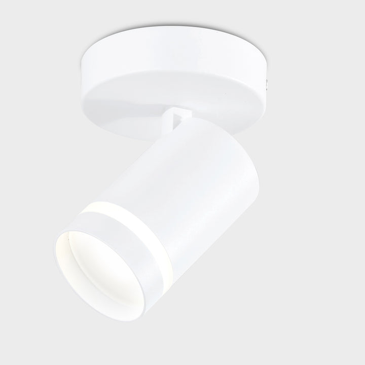 Gatton Single Spotlight- 2 Colours