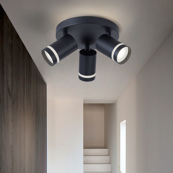 Gatton 3lt Spotlight- 2 Colours