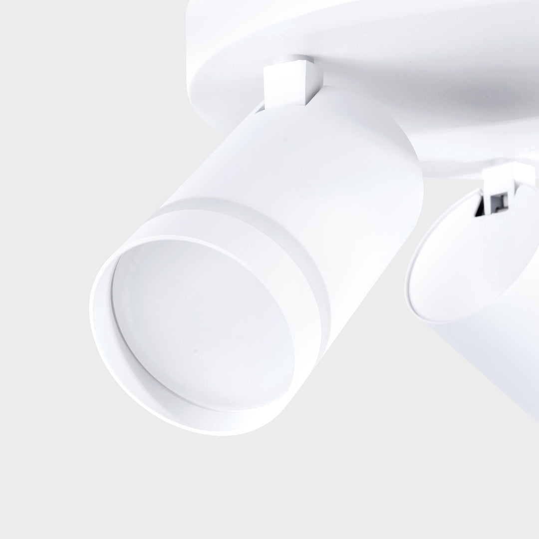 Gatton 3lt Spotlight- 2 Colours