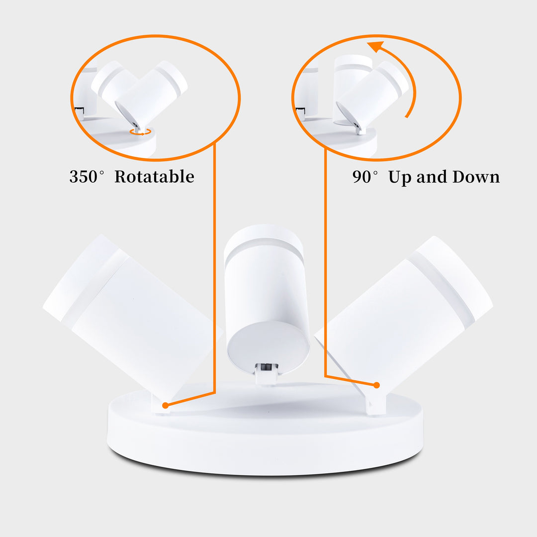 Gatton 3lt Spotlight- 2 Colours