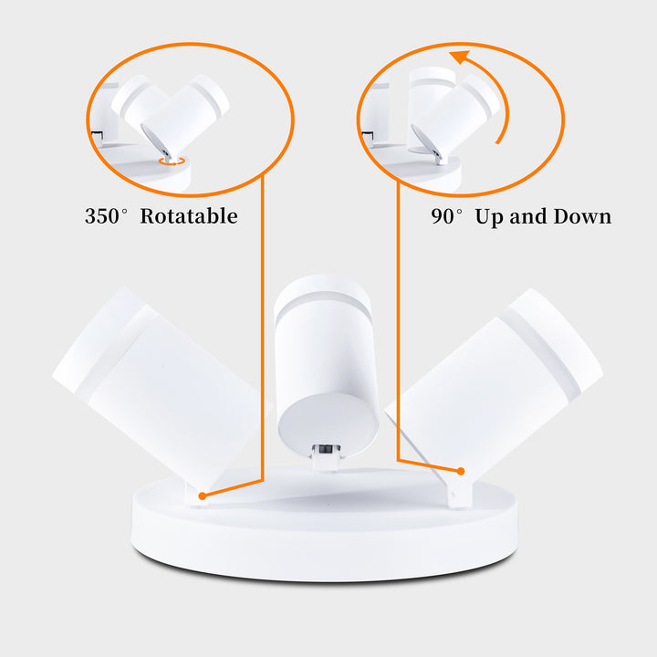 Gatton 3lt Spotlight- 2 Colours