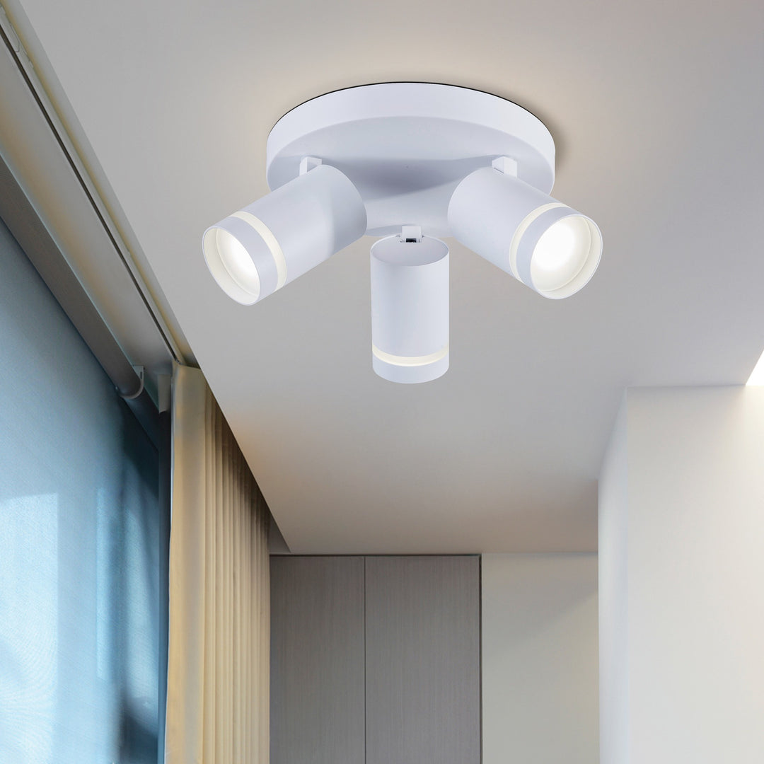 Gatton 3lt Spotlight- 2 Colours