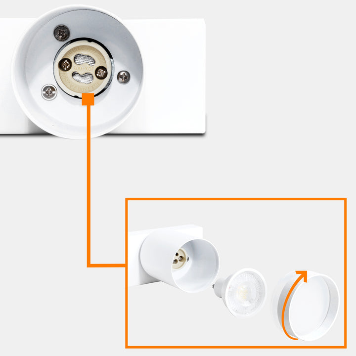 Gatton 4lt Spotlight- 2 Colours