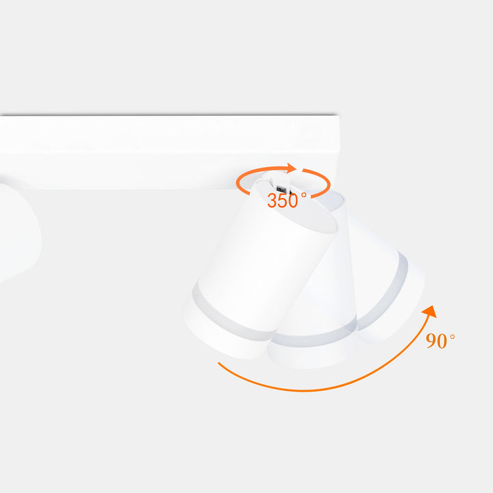 Gatton 4lt Spotlight- 2 Colours