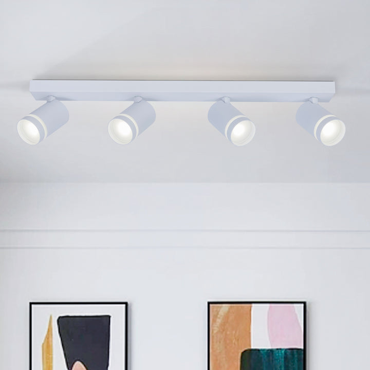 Gatton 4lt Spotlight- 2 Colours