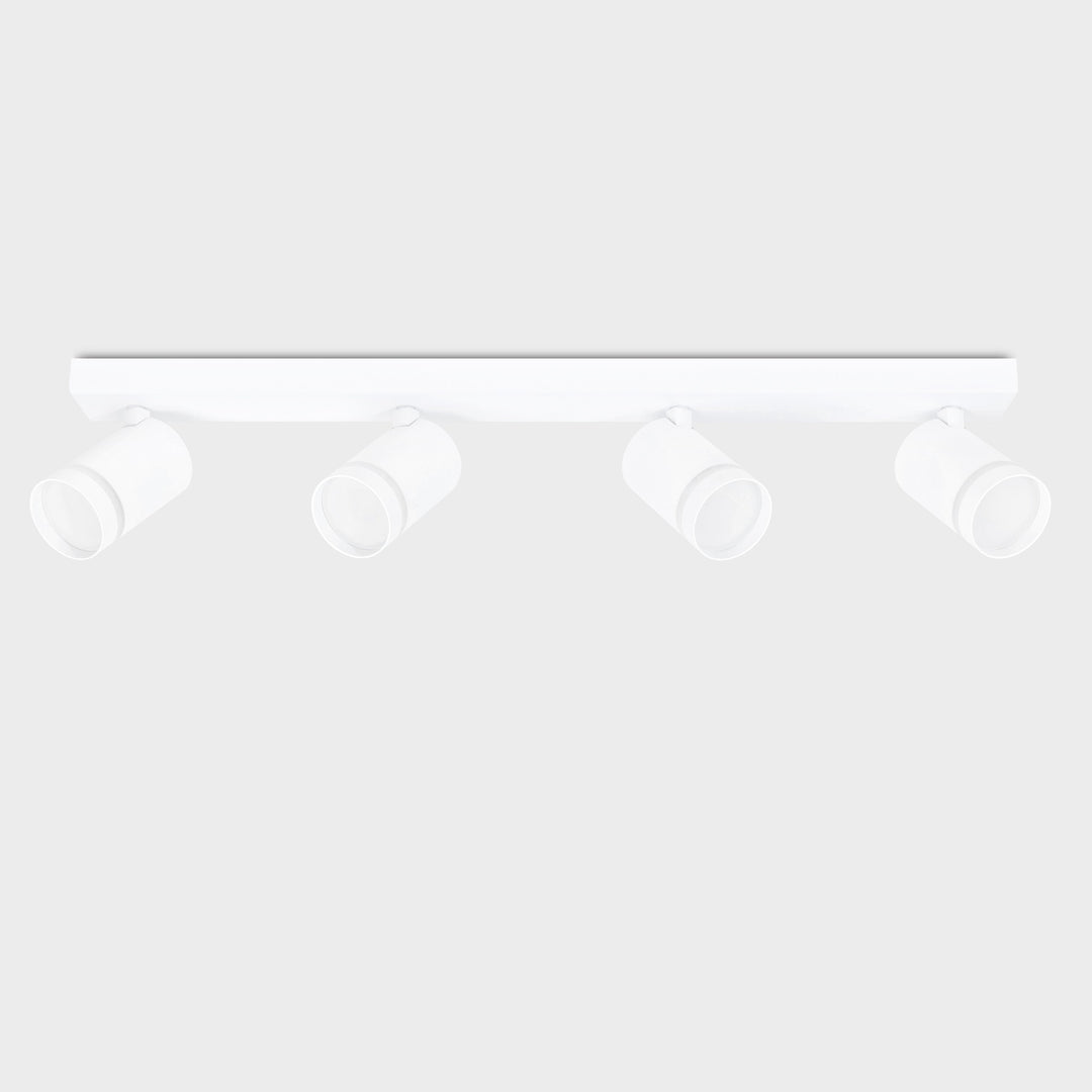 Gatton 4lt Spotlight- 2 Colours