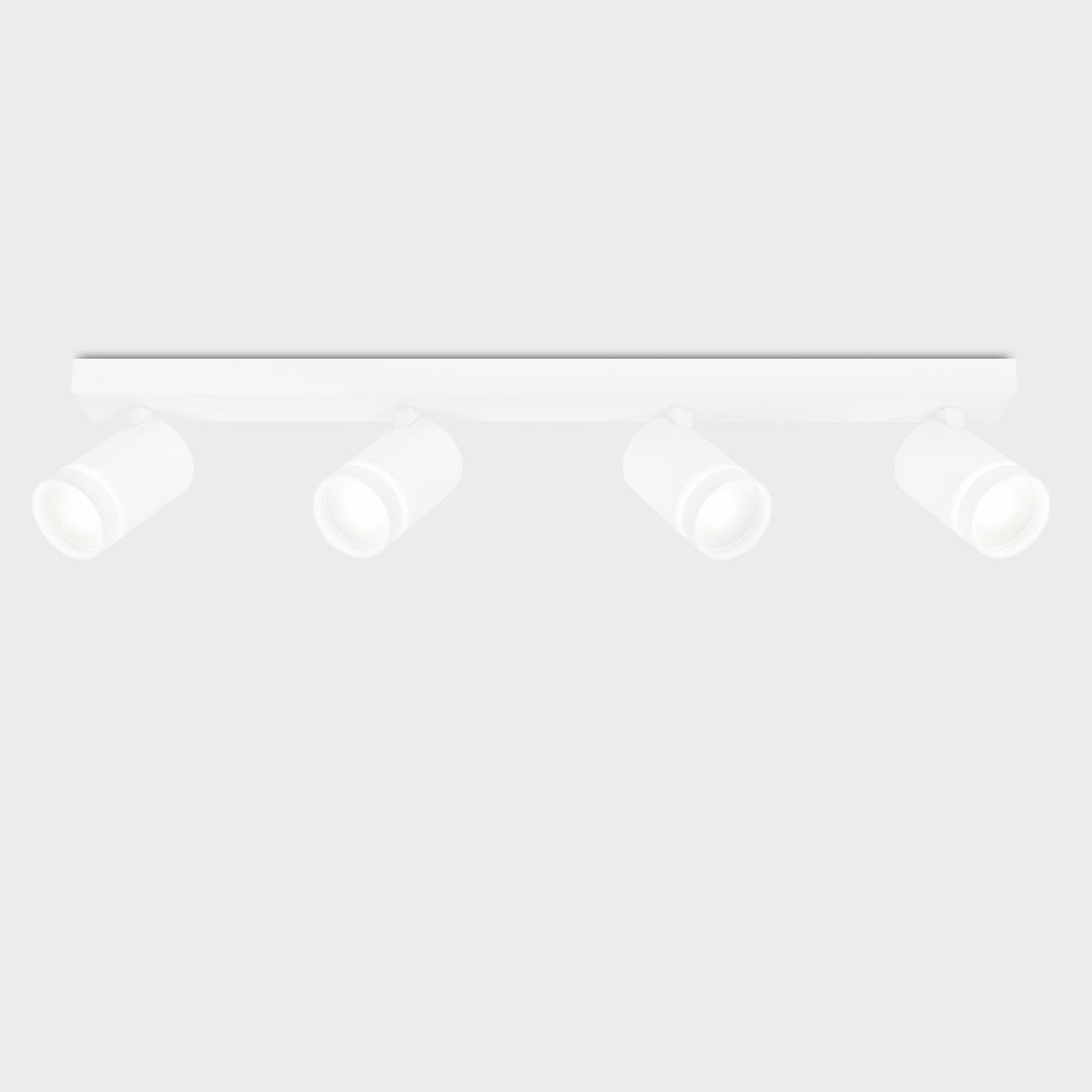 Gatton 4lt Spotlight- 2 Colours