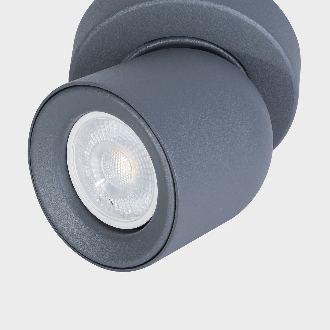 Rosebery Single Spotlight - 2 Colours