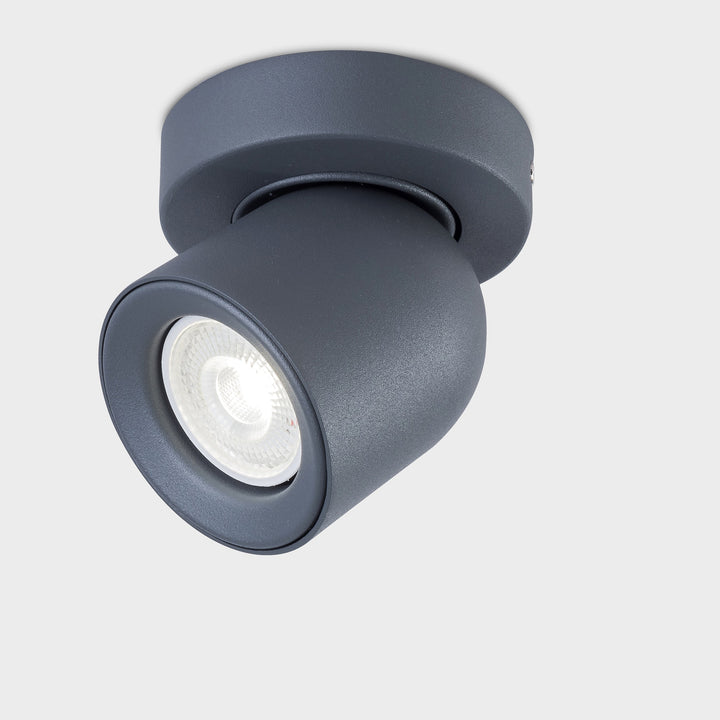 Rosebery Single Spotlight - 2 Colours