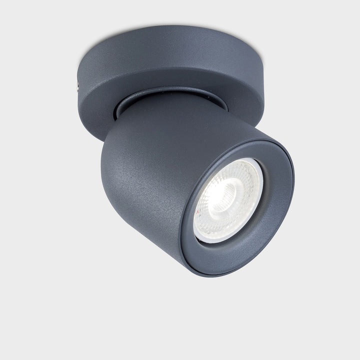 Rosebery Single Spotlight - 2 Colours