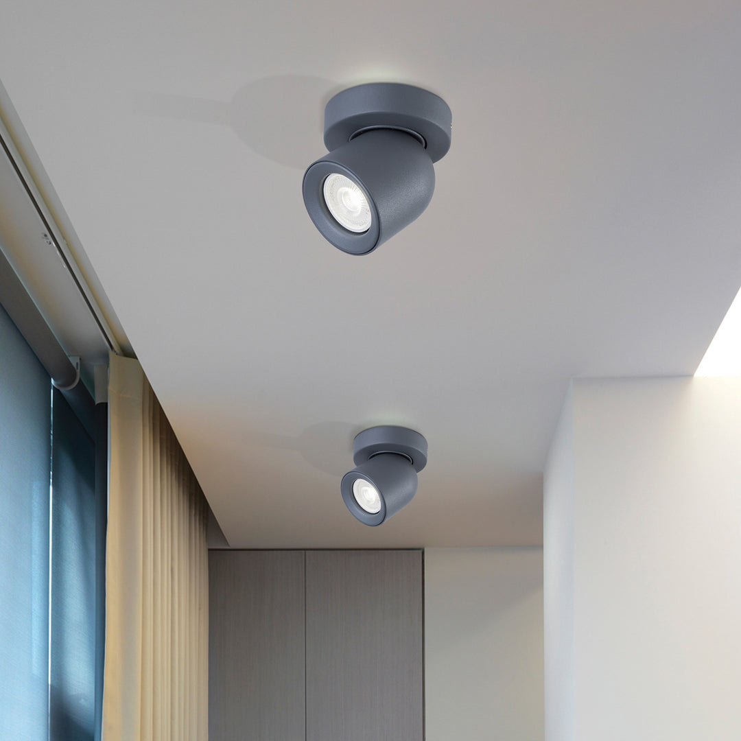 Rosebery Single Spotlight - 2 Colours