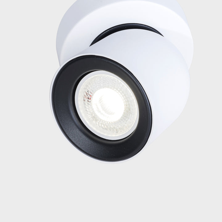 Rosebery Single Spotlight - 2 Colours