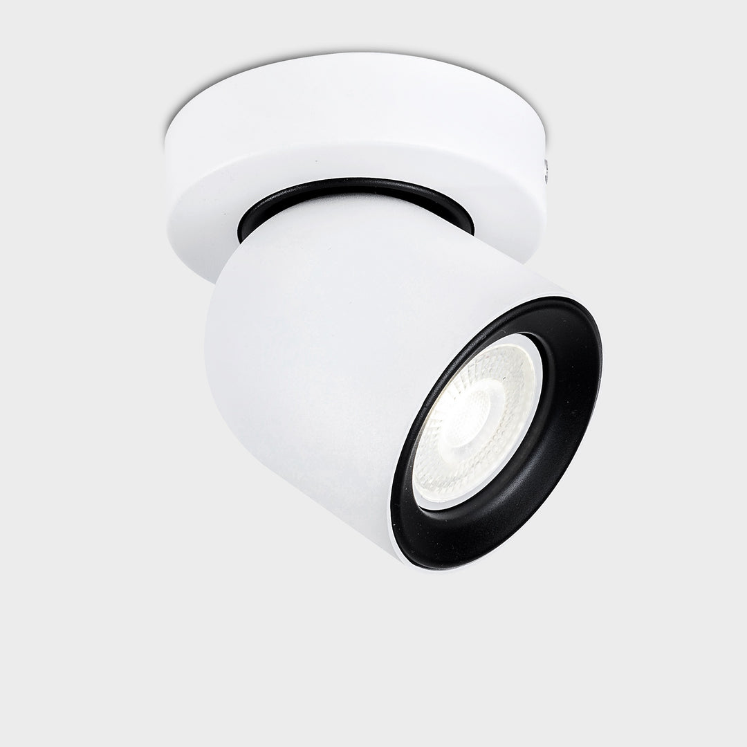 Rosebery Single Spotlight - 2 Colours