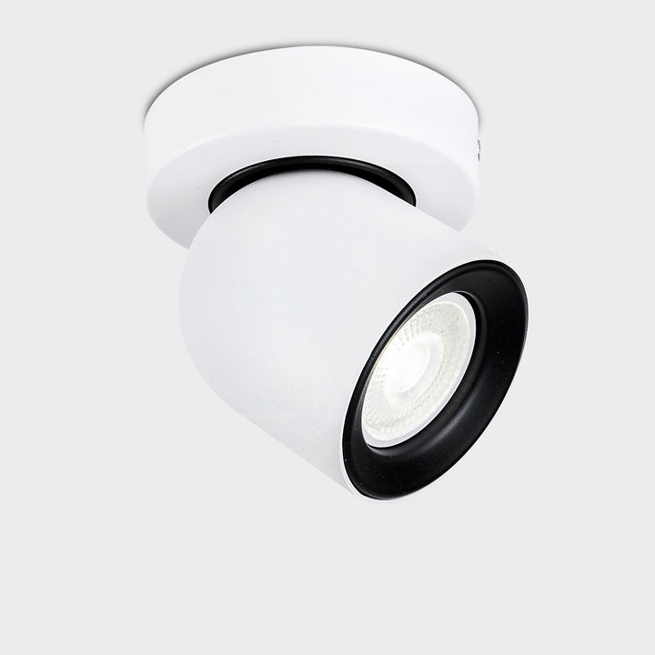 Rosebery Single Spotlight - 2 Colours