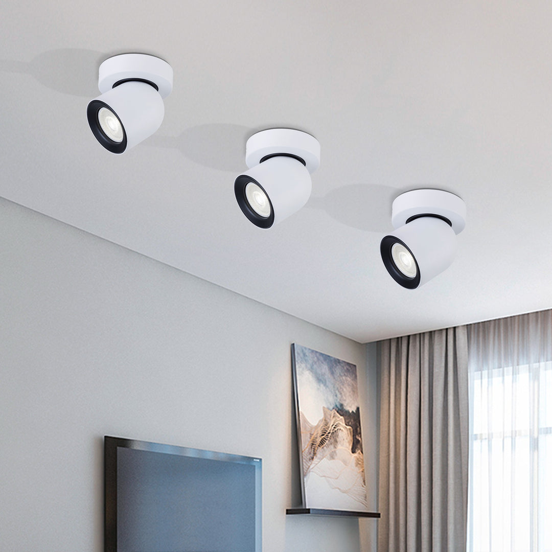 Rosebery Single Spotlight - 2 Colours