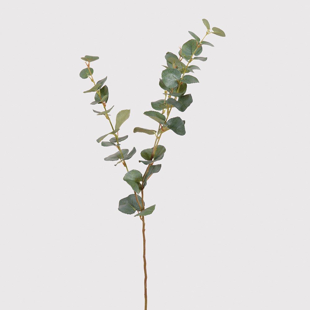 Natural Eucalyptus 3 Pack