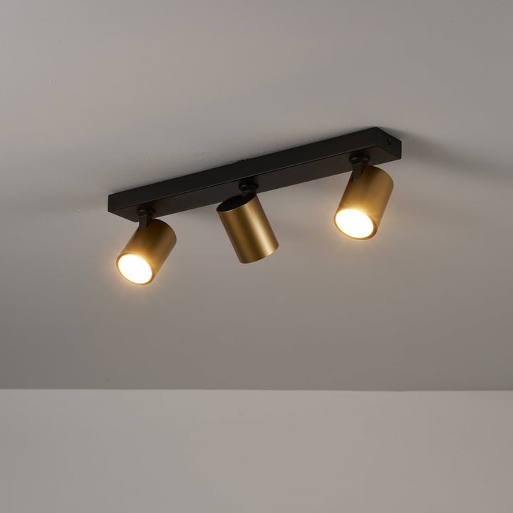 Benalla Black & Gold Bar Flush Light