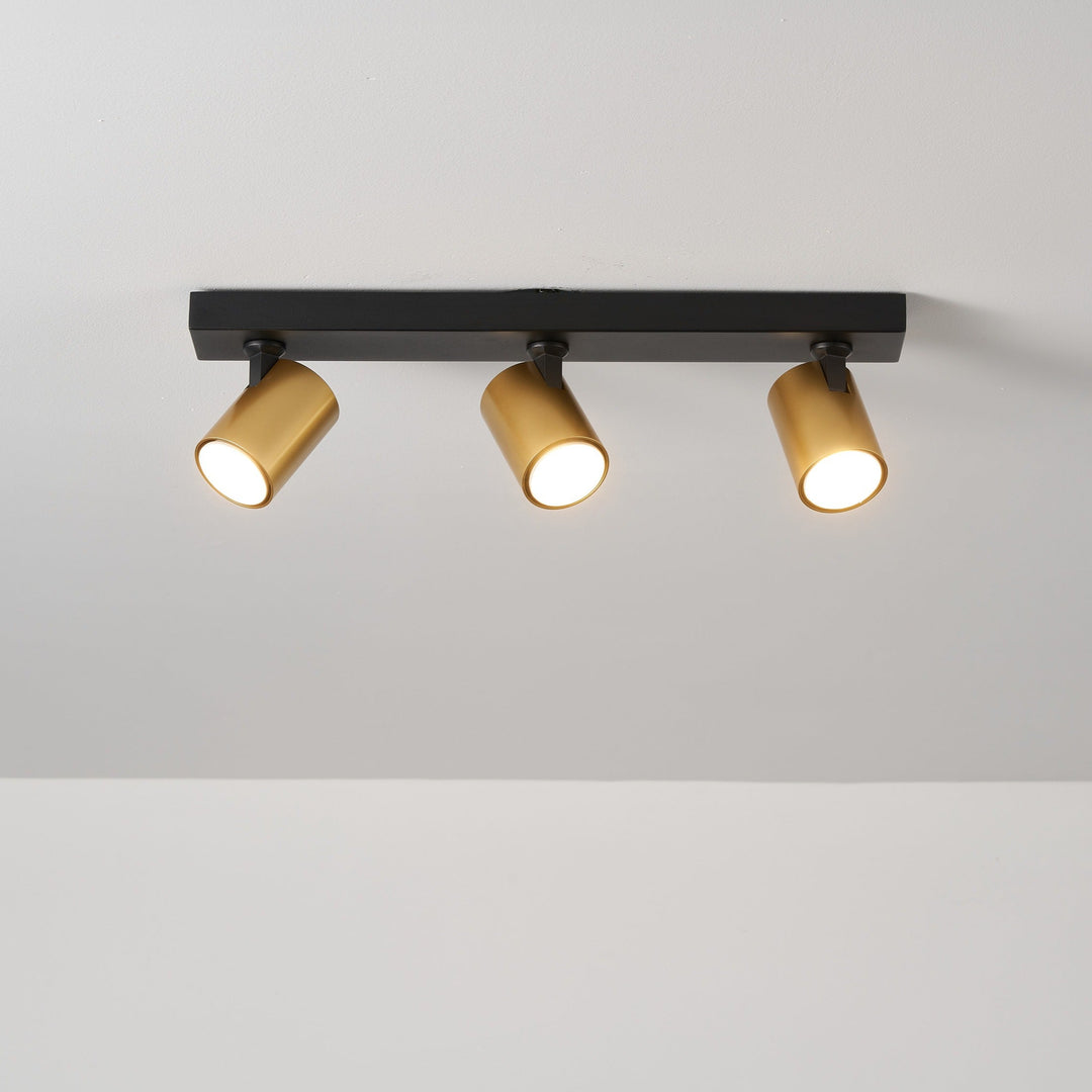 Benalla Black & Gold Bar Flush Light