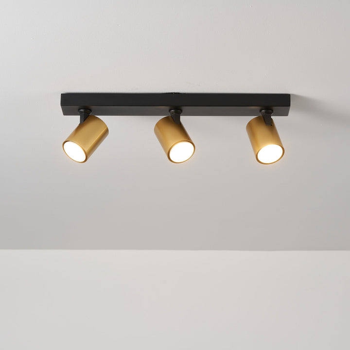 Benalla Black & Gold Bar Flush Light