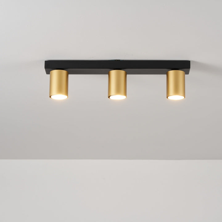 Benalla Black & Gold Bar Flush Light