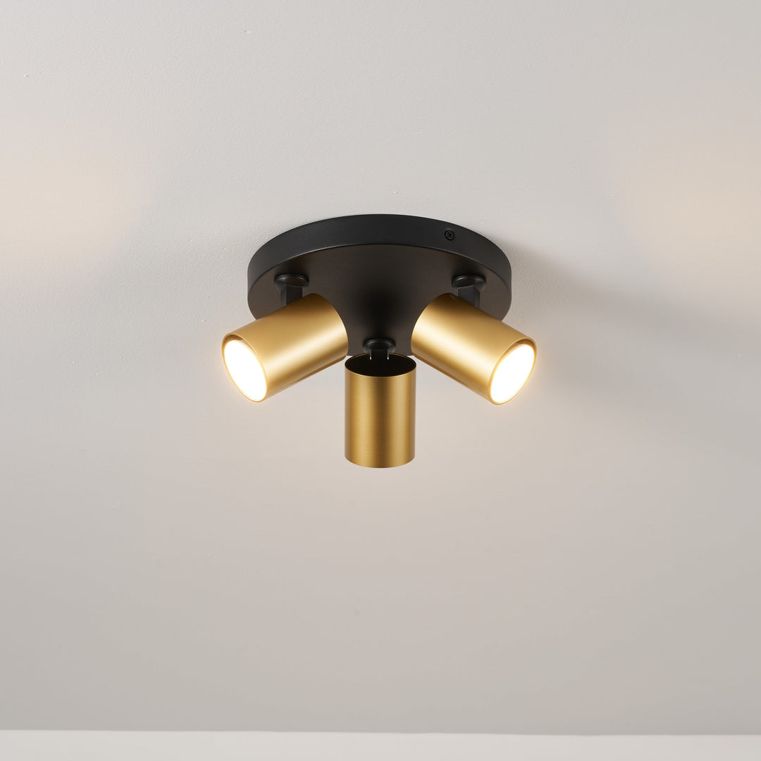 Benalla 3lt Spotlight