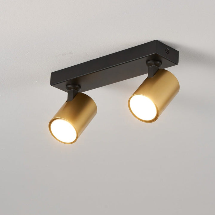 BLACK AND GOLD CEILING SPOTLIGHT BAR