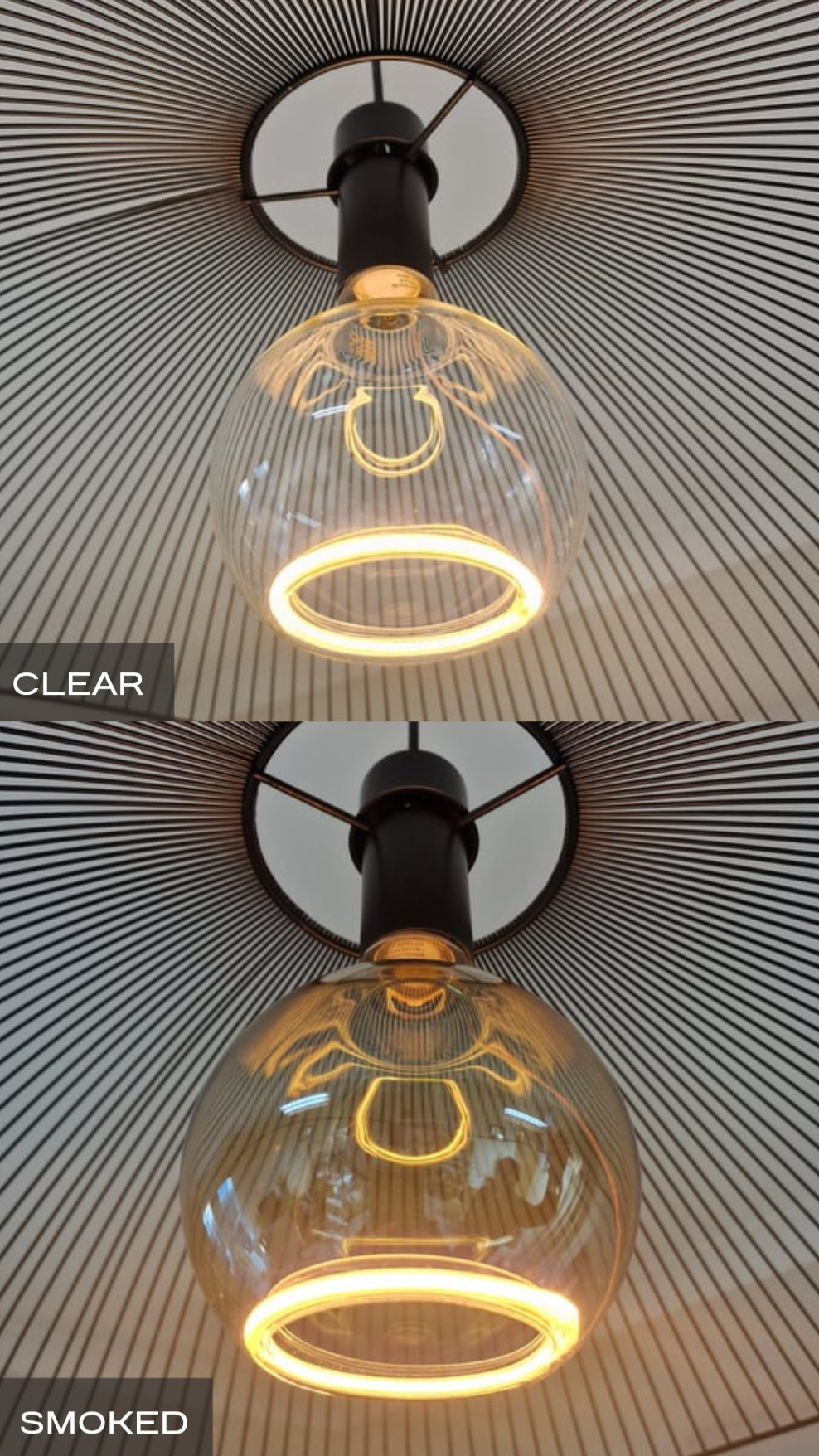 Roma Single Pendant – Aura Ring LED Bulb