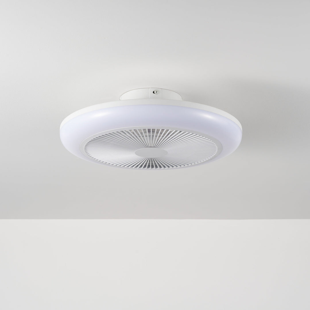 Newell Remote Control Ceiling Fan