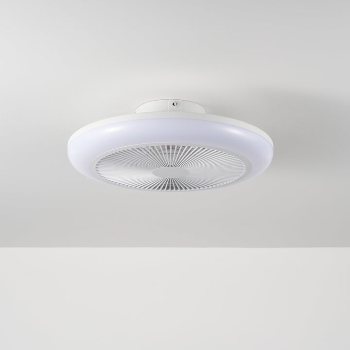 Newell Remote Control Ceiling Fan
