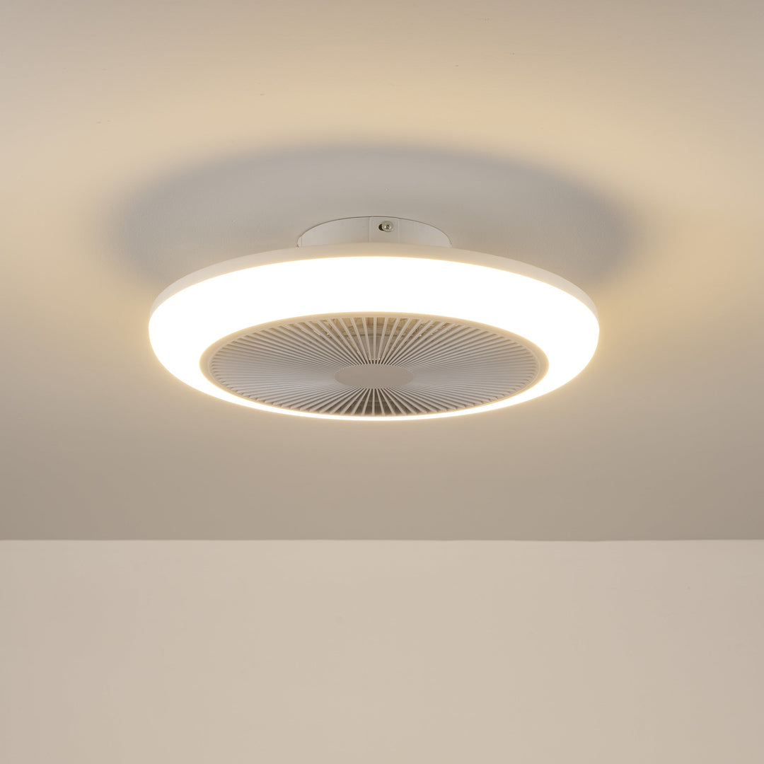 Newell Remote Control Ceiling Fan