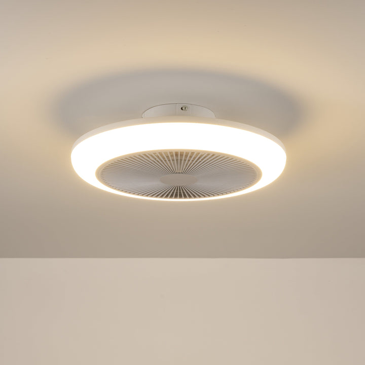 Newell Remote Control Ceiling Fan