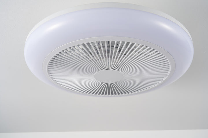 Newell Remote Control Ceiling Fan