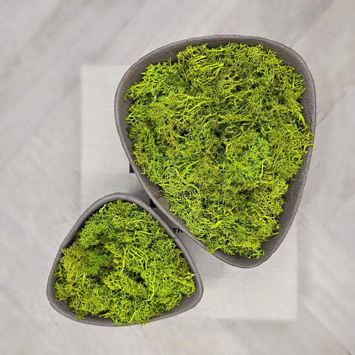 Aya Wabi-Sabi Moss Bowl - 2 SIZES