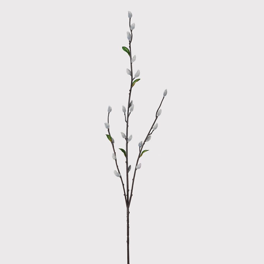 Pussy Willow 4 Pack