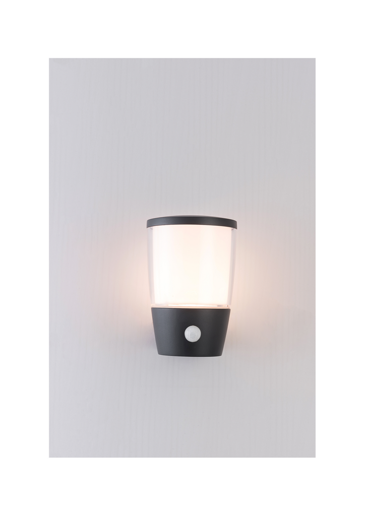Apollo Outdoor Wall Light