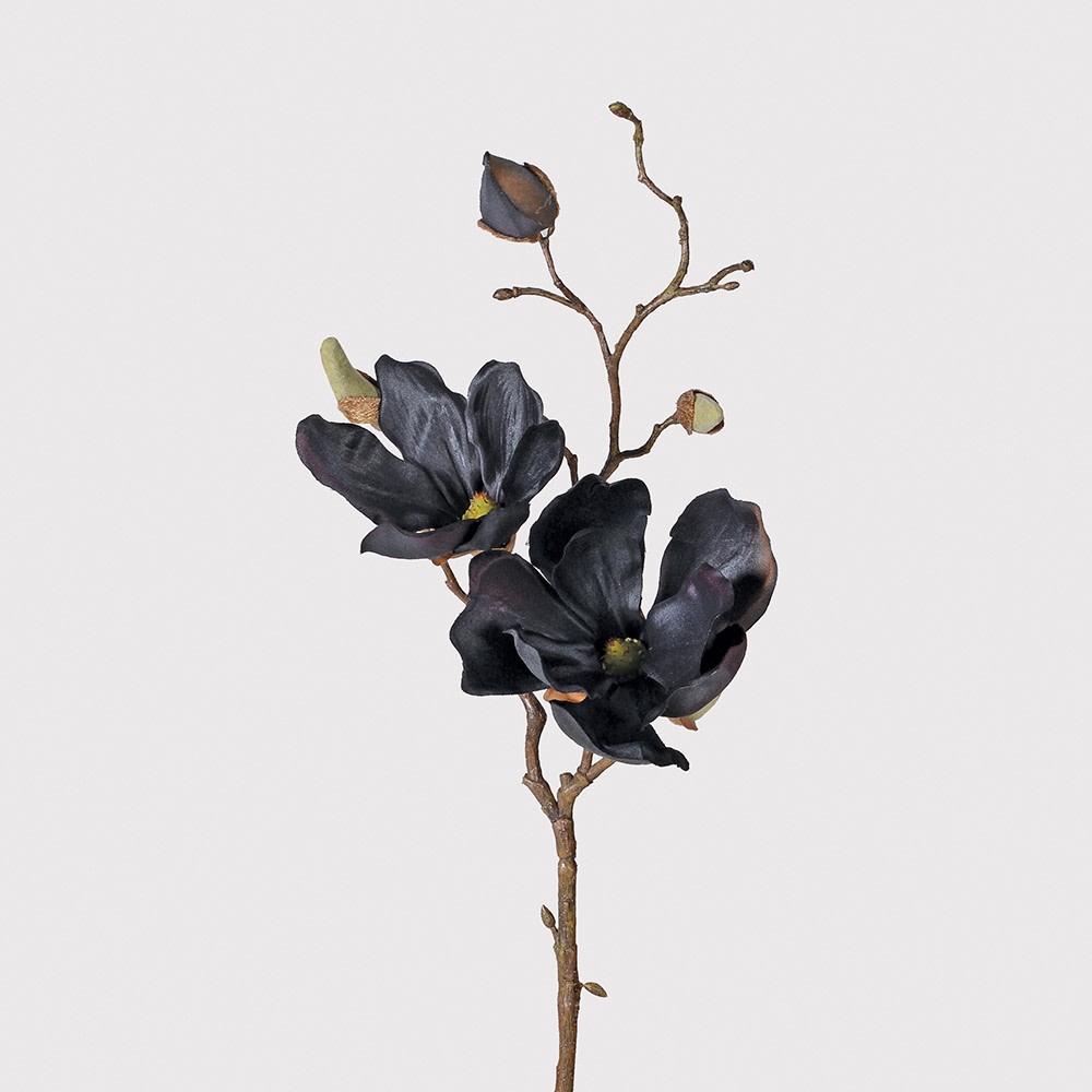 Black Magnolia Branches 3 Pack