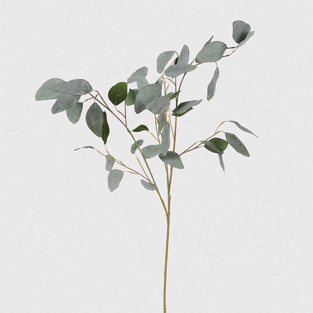 Silver Dollar Eucalyptus Spray 3 Pack
