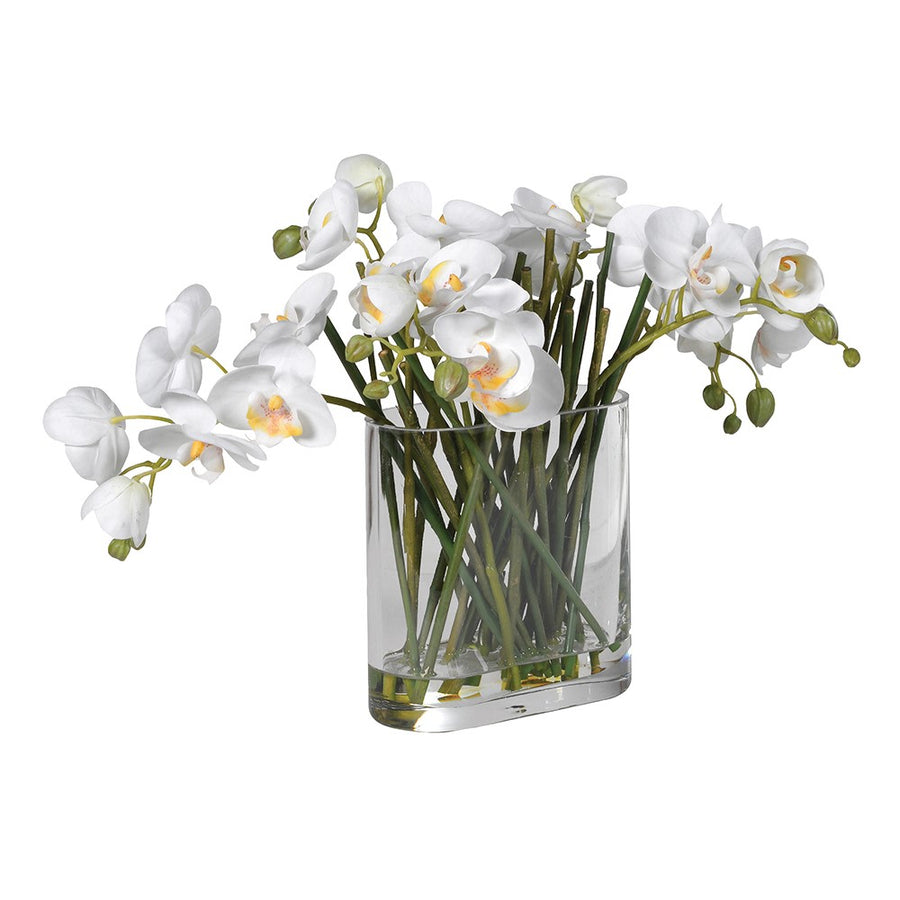 Small White Orchid in Glass Vase