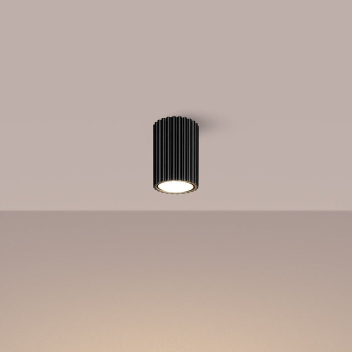 Nelson Small Flush - 2 Colours
