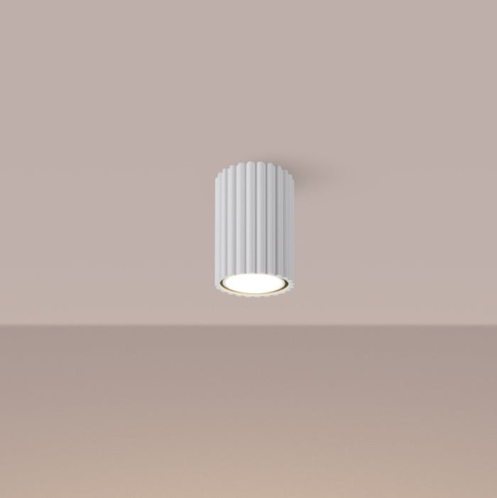 Nelson Small Flush - 2 Colours