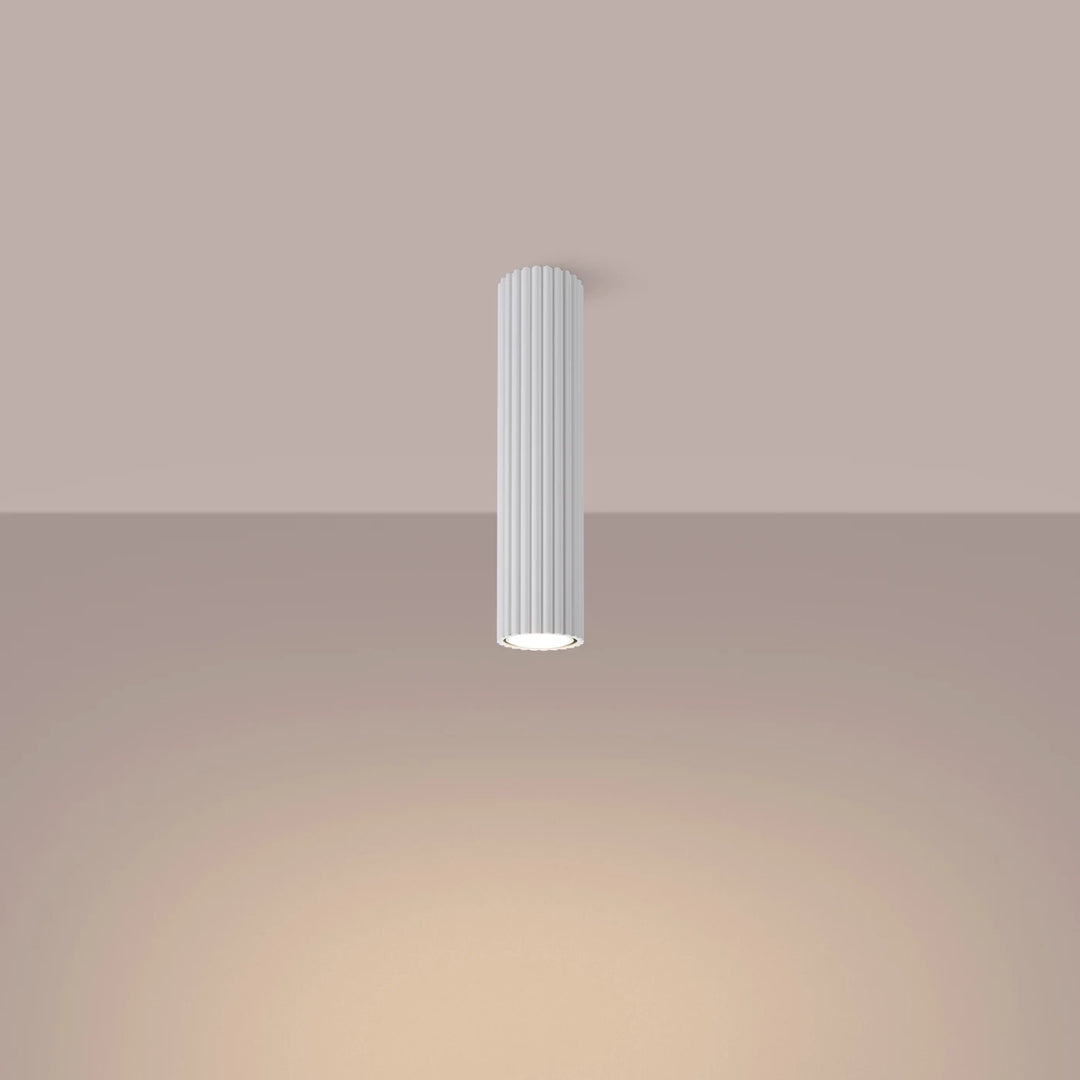 Nelson Large Flush - 2 Colours