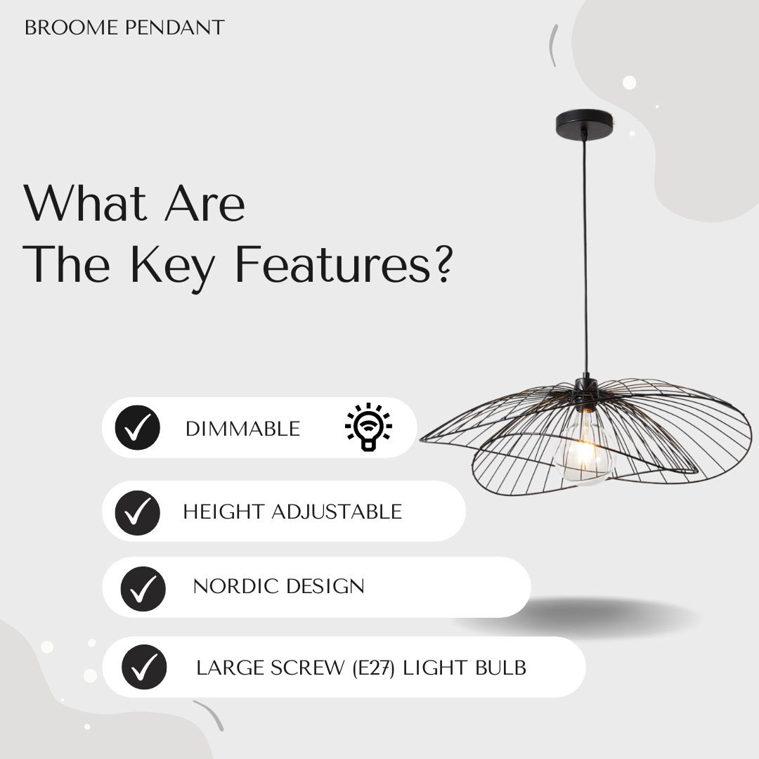 Broome Pendant Light – Large Matt Black Wireframe Ceiling Light