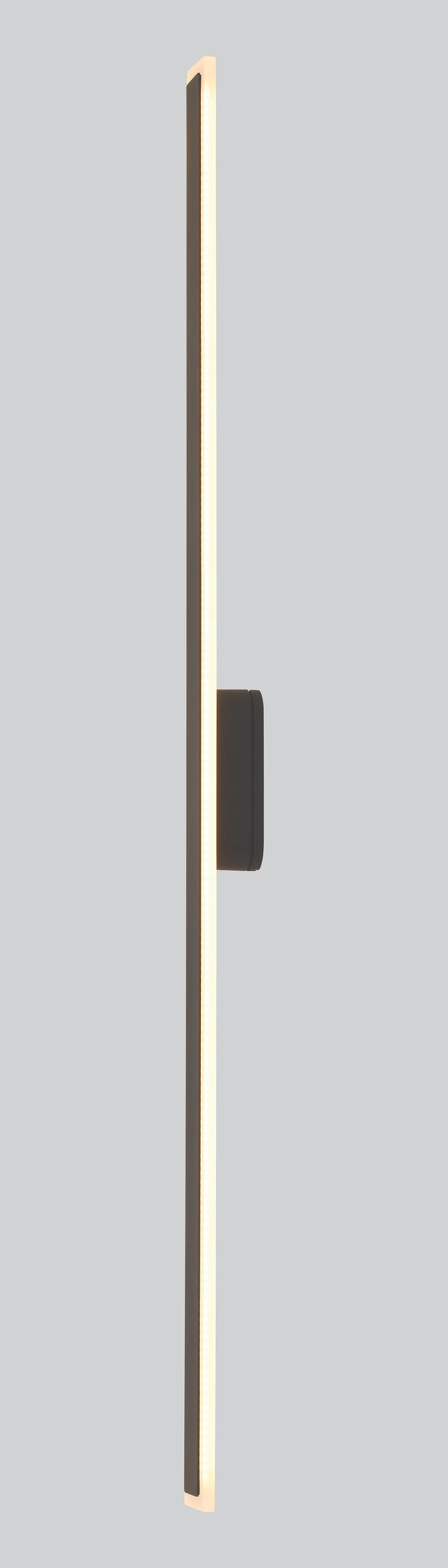 Forster Outdoor Linear Wall Light Large