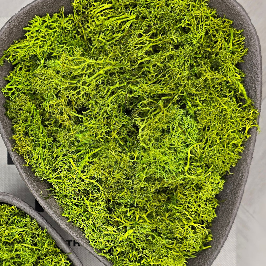 Real Green Moss