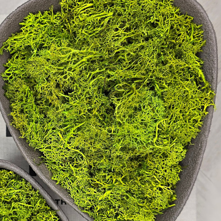 Real Green Moss