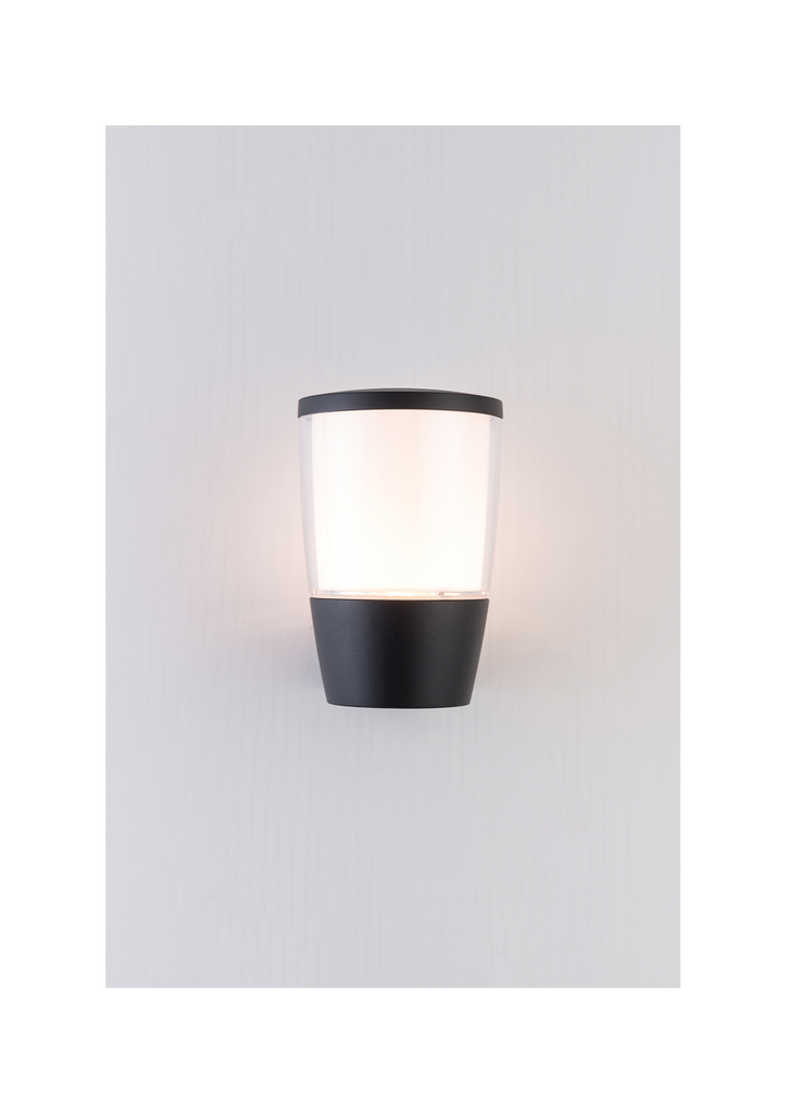 Albion Outdoor Wall Light