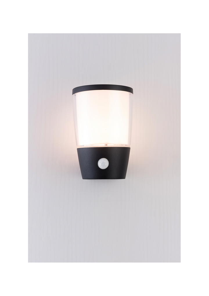 Albion Outdoor Wall Light