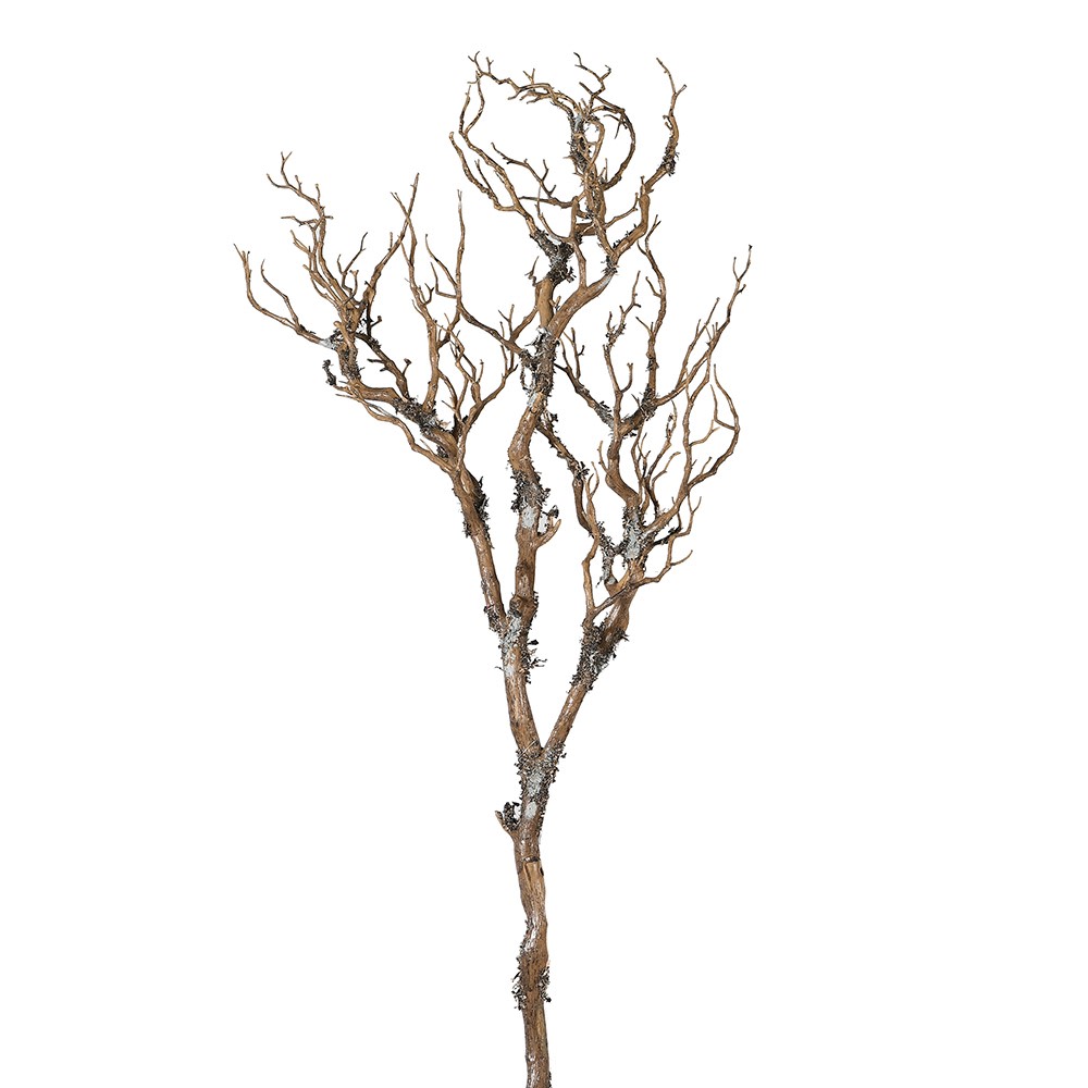 Brown Branch - PACK OF 2