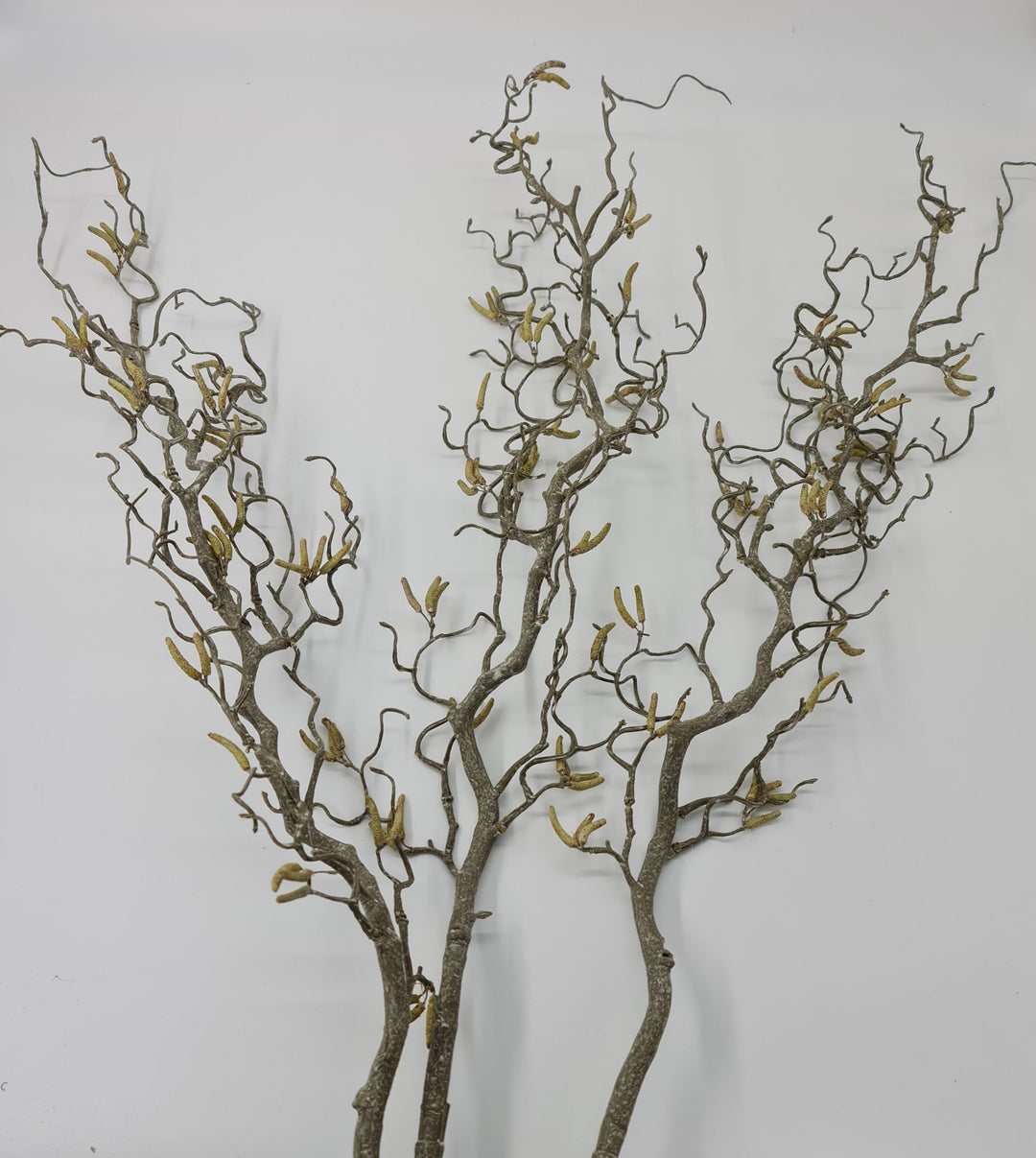 Contorted Willow Branches 3 Pack